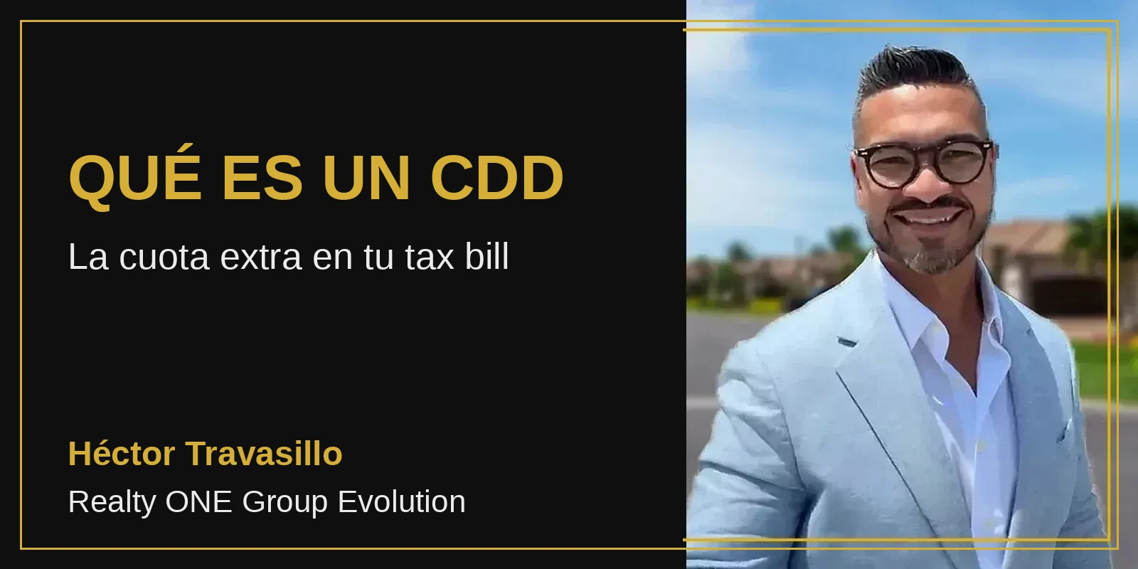 QUÉ ES UN CDD - Héctor Travasillo